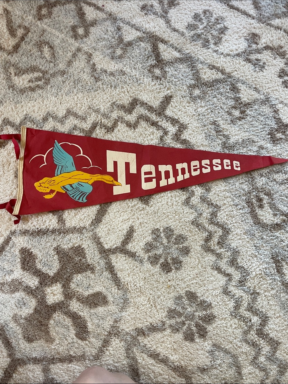 Vintage Tennessee pennant